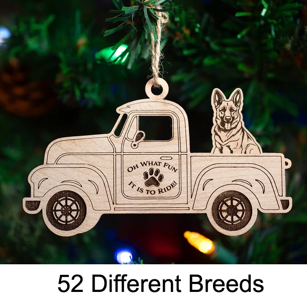 dogtruck copy